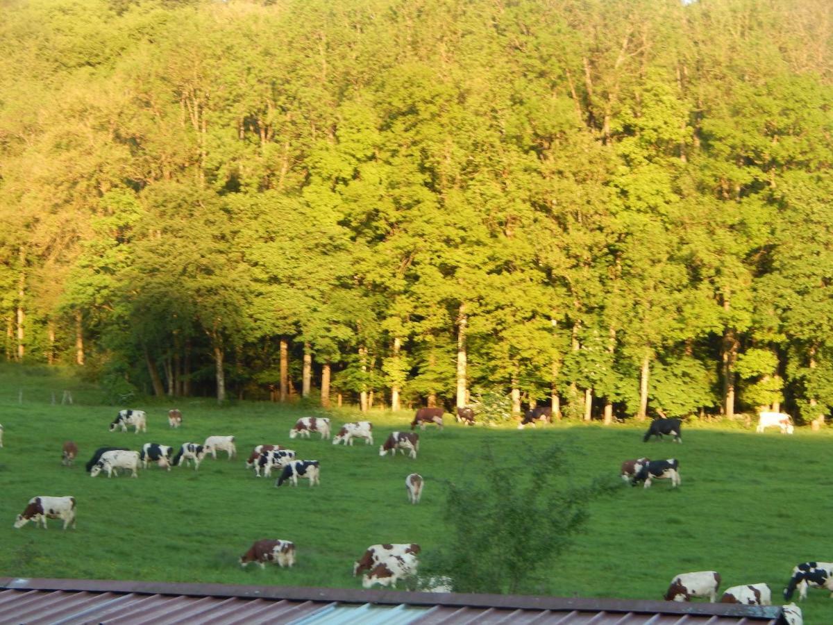 Bed and Breakfast A La Source Du Saolon Culmont Zewnętrze zdjęcie